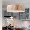 ELK Lighting Modern Organics Drum Pendant